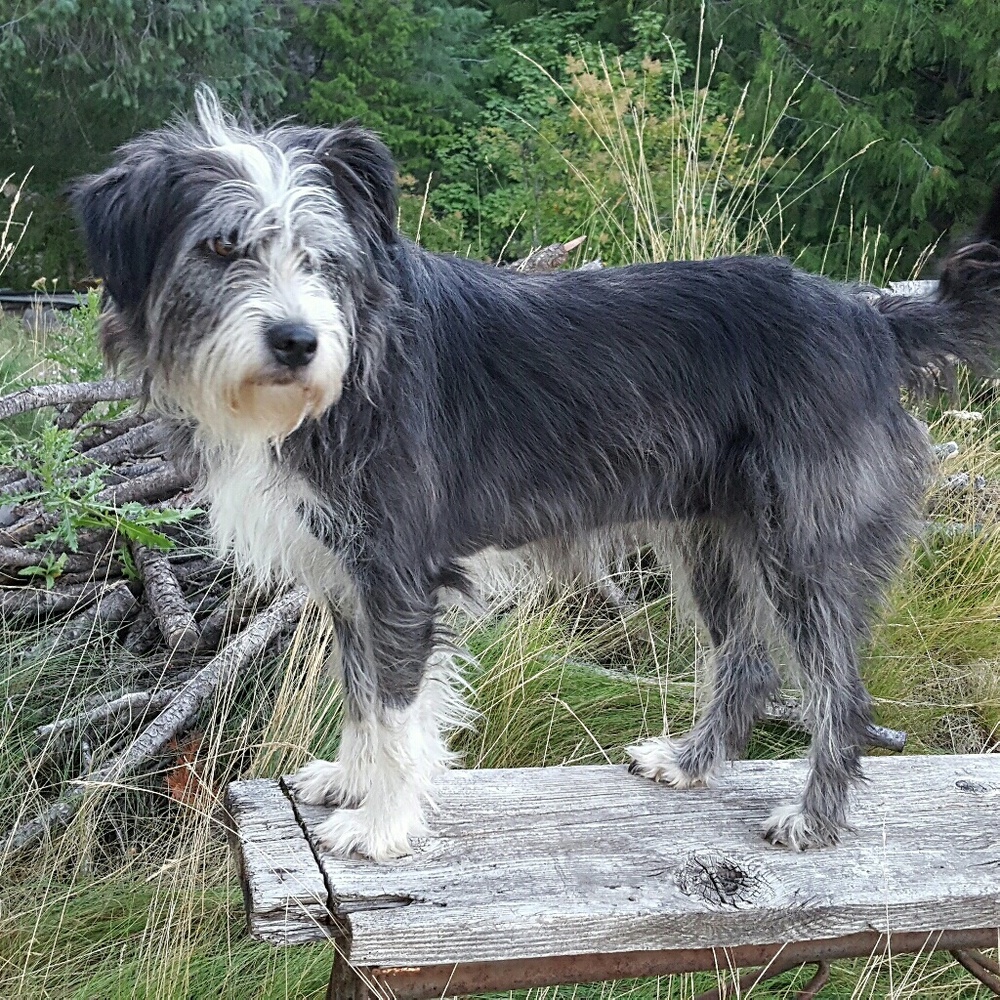 Meet your Posher, Paula